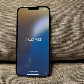 Apple iPhone 13 Pro Max 256GBグラファイト