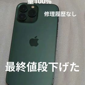 Iphone 13 promax 128gb simフリー