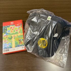 【限定値下げ】ぽこ あ ポケモン ソフト 特典付き