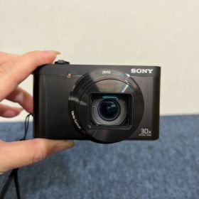 SONY DSC-WX500