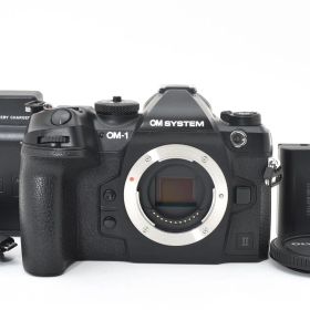 シャッター回数14130回！■極上品■ OLYMPUS OM-1 Mark II ボディー
