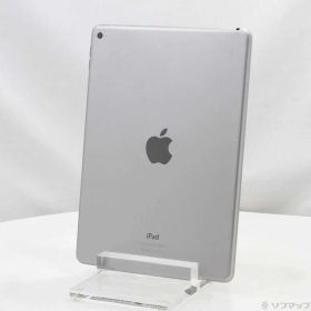【中古】Apple(アップル) iPad Air 2 32GB スペースグレイ MNV22J／A Wi-Fi 【258-ud】