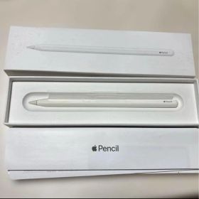 箱無し 第2世代 Apple Pencil アップルペンシル ジャンク
