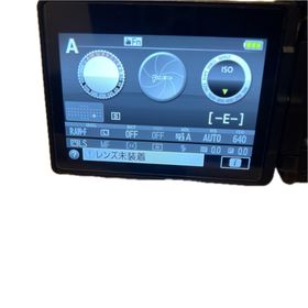 ニコン(Nikon)のNikon デジタル一眼レフカメラ D5600⭐︎状態キレイ (デジタル一眼)