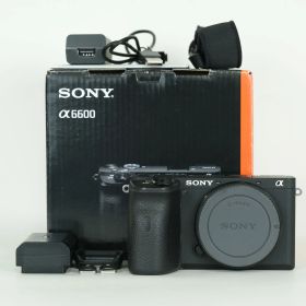 [美品 | シャッター数1,560回] SONY α6600（ILCE-6600） [ボディ] | SONY Eマウント