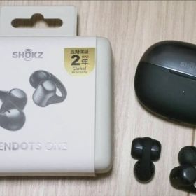 Shokz OpenDots ONE