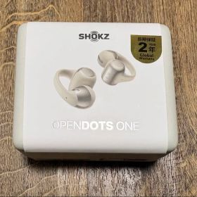 Shokz OpenDots ONE SKZ-EP-000053 グレー