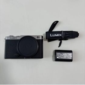 ★極上品★LUMIX S9 ボディ DC-S9-S ダークシルバー