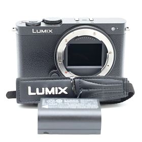★新品級★ PANASONIC パナソニック LUMIX DC-S9-K ボディ ジェットブラック