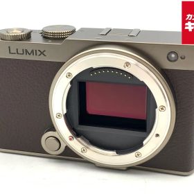 【中古】 【美品】 パナソニック LUMIX DC-S9-N ボディ チタンゴールド
