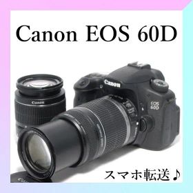 ✨Canon EOS 60D✨ダブルレンズ✨ショット極少✨高画質✨初心者OK✨