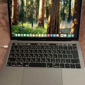 MacBookPro2019 メモリ16GB SSD 256GB 充放電177回