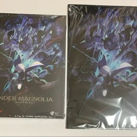 NS版 ◆ エンダーマグノリア: ブルームインザミスト 数量限定版