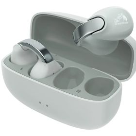 【新品】JVC Victor nearphones HA-NP1T-H [アイスグレー]