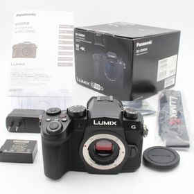パナソニック(Panasonic)のショット数206 【極美品】 Panasonic Lumix DC-G99D(ミラーレス一眼)