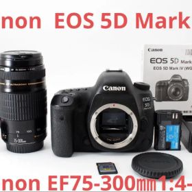 Canon EOS 5D Mark IV / Canon EF 75-300mm