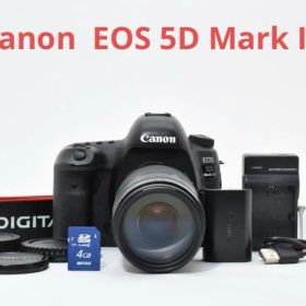 Canon EOS 5D Mark IV 望遠レンズセット