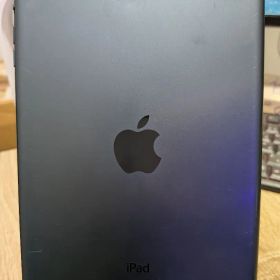Apple iPad mini 初代+2