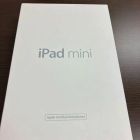 Apple iPad mini 本体