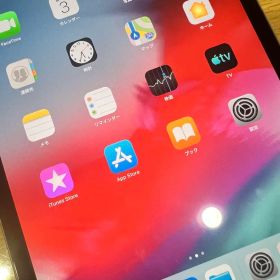 iPadmini2 本体