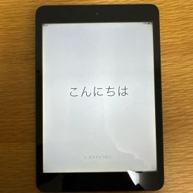 iPad mini 第1世代 (Wi-Fi専用) 16GB