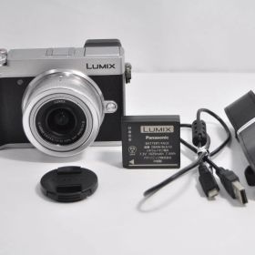 Panasonic パナソニック GX7MK3 標準ズームキット シルバー DC-GX7MK3K-S