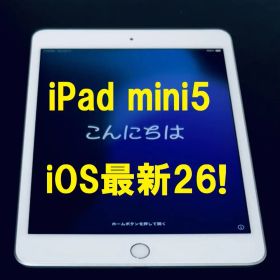 ◆ios最新26 iPad mini 5 64GB 第5世代 ( 新品フィルム