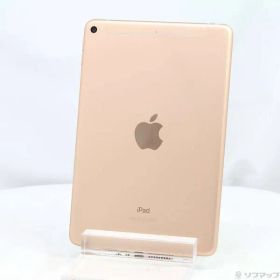 ソフマップ 〔中古品〕 iPad mini 第5世代 64GB ゴールド MUX72J／A SoftBankロック解除SIMフリー【368】