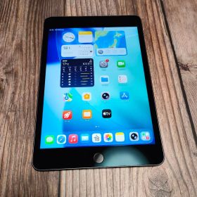 apple iPad mini 第5世代 64GB スペースグレー 美品