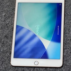 Apple iPad mini(第5世代) ピンクゴールド 64G