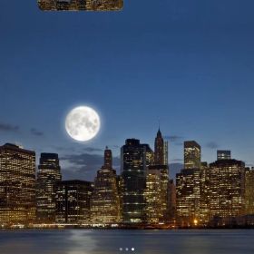 Wi-Fi + Cellular Apple iPad mini (第5世代)