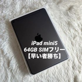 【完動品】iPad mini5 64GB SIMフリー 【すぐ発送】【付属品】