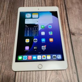 iPad mini 第5世代 64GB SIMフリー バッテリー91% 美品