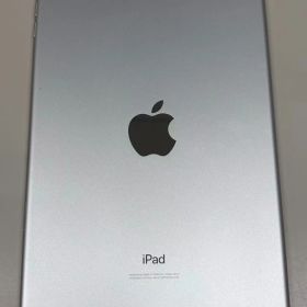 美品 電池86％ SIMフリー iPad mini5 64GB シルバー