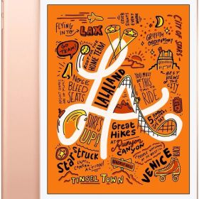 <C10-2> Apple iPad mini (第５世代) Wi-Fi 256GB ゴールド バッテリー容量:90％