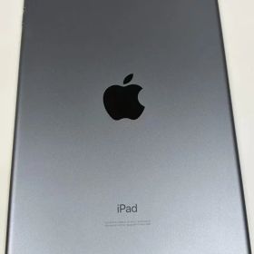 電池84% apple iPad mini(第5世代) 256GB スペースグレ WiFiモデル