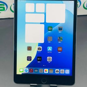 iPad mini 第5世代 Cellular 64GB スペースグレイ MUX52J/A ランクB 送料無料