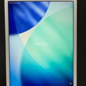 iPad mini（第5世代）Wi-Fi + Cellular 265GB