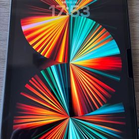 iPadpro 11 インチ 2018 64GB スペースグレー 動作良好