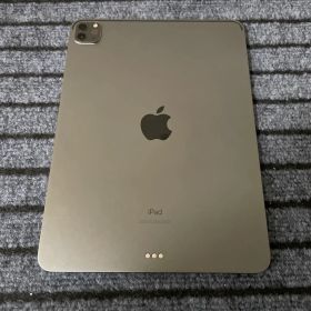 73 iPad Pro 11インチ 2世代 256GB Wi-Fiモデル グレイ