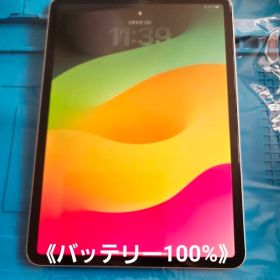 【美品】アップル iPad Pro 11インチ 64GB シルバー SIMフリー