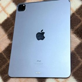iPad Pro 11インチ 第2世代 Wi-Fiモデル グレイ 128GB
