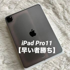 【早い者勝ち】iPad Pro 11 第2世代 256GB 【すぐ発送】