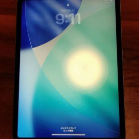 Apple iPad pro 第二世代 256gb 11インチ 本体のみ