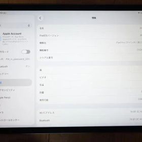 iPad Pro 11インチ (第2世代) 128G＋Apple Pencil