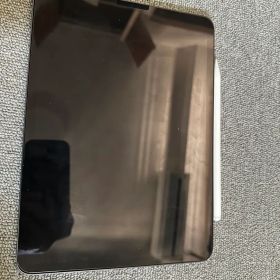 Apple iPad Pro 11インチ 第二世代 256GB