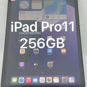 iPad Pro 11 第2世代 256GB
