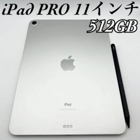 【動作品】iPad Pro 11インチ 512GB シルバー ペン付き