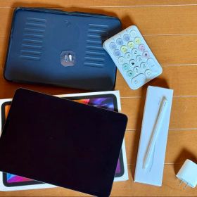 iPad Pro 11 第2世代 256GB apple pencil2 セット