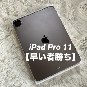 【ラスト1台】iPad Pro 11インチ 第2世代 512GB 【すぐ発送】
